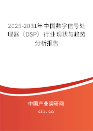 2025-2031年中國數(shù)字信號處理器（DSP）行業(yè)現(xiàn)狀與趨勢分析報告