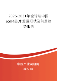 2025-2031年全球與中國(guó)eSIM芯片發(fā)展現(xiàn)狀及前景趨勢(shì)報(bào)告
