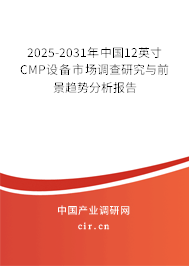 2025-2031年中國12英寸CMP設(shè)備市場調(diào)查研究與前景趨勢分析報告