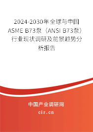 2024-2030年全球與中國ASME B73泵（ANSI B73泵）行業(yè)現(xiàn)狀調研及前景趨勢分析報告