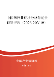 中國苯行業(yè)現(xiàn)狀分析與前景趨勢報告（2025-2031年）