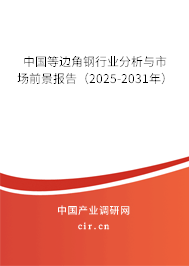 中國(guó)等邊角鋼行業(yè)分析與市場(chǎng)前景報(bào)告（2025-2031年）