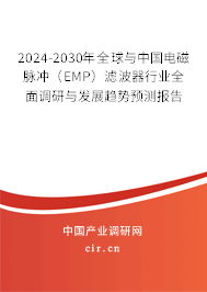 2024-2030年全球與中國電磁脈沖（EMP）濾波器行業(yè)全面調(diào)研與發(fā)展趨勢(shì)預(yù)測(cè)報(bào)告