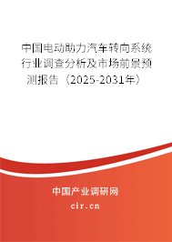中國電動(dòng)助力汽車轉(zhuǎn)向系統(tǒng)行業(yè)調(diào)查分析及市場前景預(yù)測報(bào)告（2025-2031年）