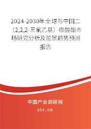 2024-2030年全球與中國二（2,2,2-三氟乙基）碳酸酯市場研究分析及前景趨勢預(yù)測報告