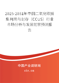 （最新）中國二氧化碳捕集利用與封存（CCUS）行業(yè)市場分析與發(fā)展前景預測報告