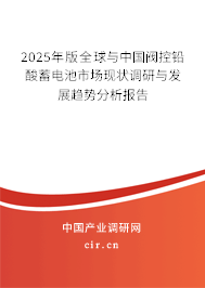 2025年版全球與中國閥控鉛酸蓄電池市場現(xiàn)狀調(diào)研與發(fā)展趨勢分析報告