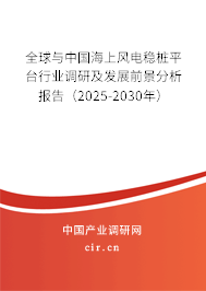 全球與中國海上風(fēng)電穩(wěn)樁平臺(tái)行業(yè)調(diào)研及發(fā)展前景分析報(bào)告（2025-2030年）