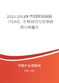 2025-2031年中國聚醚酮酮（PEKK）市場研究與前景趨勢分析報(bào)告
