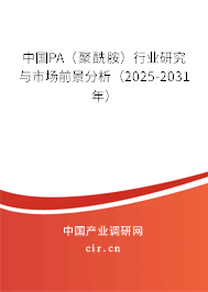 中國(guó)PA（聚酰胺）行業(yè)研究與市場(chǎng)前景分析（2025-2031年）