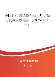 中國PVT測試儀行業(yè)市場分析與發(fā)展前景報告（2025-2031年）