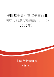 中國數(shù)字資產(chǎn)管理平臺行業(yè)現(xiàn)狀與前景分析報(bào)告（2025-2031年）