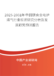 2025-2031年中國(guó)鐵合金電爐煤氣行業(yè)現(xiàn)狀研究分析及發(fā)展趨勢(shì)預(yù)測(cè)報(bào)告