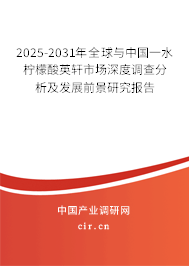 2024-2030年全球與中國一水檸檬酸英軒市場深度調(diào)查分析及發(fā)展前景研究報告