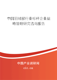 中國(guó)羽絨服行業(yè)標(biāo)桿企業(yè)戰(zhàn)略管理研究咨詢報(bào)告 中國(guó)羽絨服行業(yè)標(biāo)桿企業(yè)戰(zhàn)略管理研究咨詢報(bào)告