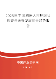 2024年中國機(jī)器人市場現(xiàn)狀調(diào)查與未來發(fā)展前景趨勢報(bào)告