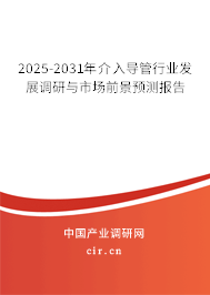 2025-2031年介入導(dǎo)管行業(yè)發(fā)展調(diào)研與市場前景預(yù)測報(bào)告
