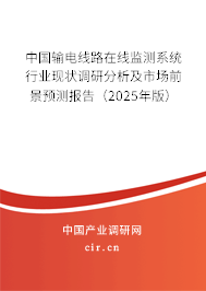 中國(guó)輸電線路在線監(jiān)測(cè)系統(tǒng)行業(yè)現(xiàn)狀調(diào)研分析及市場(chǎng)前景預(yù)測(cè)報(bào)告（2025年版）