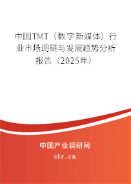 中國TMT（數(shù)字新媒體）行業(yè)市場調(diào)研與發(fā)展趨勢分析報告（2025年）