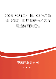 2025-2031年中國地理信息系統(tǒng)（GIS）市場調(diào)研分析及發(fā)展趨勢預(yù)測報告