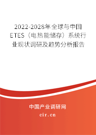 2022-2028年全球與中國ETES（電熱能儲存）系統(tǒng)行業(yè)現(xiàn)狀調(diào)研及趨勢分析報(bào)告