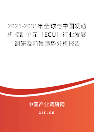 2025-2031年全球與中國發(fā)動機(jī)控制單元（ECU）行業(yè)發(fā)展調(diào)研及前景趨勢分析報告