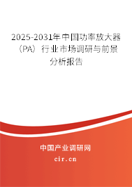 2025-2031年中國(guó)功率放大器（PA）行業(yè)市場(chǎng)調(diào)研與前景分析報(bào)告