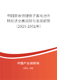 中國聚合物鋰離子蓄電池市場現(xiàn)狀全面調(diào)研與發(fā)展趨勢（2025-2031年）