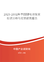 2025-2031年中國鋰電池發(fā)展現(xiàn)狀分析與前景趨勢報(bào)告