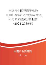 全球與中國鋰離子電池（LIB）材料行業(yè)發(fā)展深度調(diào)研與未來趨勢分析報告（2024-2030年）