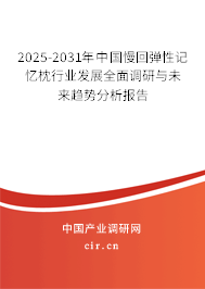 2025-2031年中國(guó)慢回彈性記憶枕行業(yè)發(fā)展全面調(diào)研與未來趨勢(shì)分析報(bào)告
