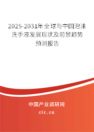 2025-2031年全球與中國泡沫洗手液發(fā)展現(xiàn)狀及前景趨勢預(yù)測報(bào)告 2025-2031年全球與中國泡沫洗手液發(fā)展現(xiàn)狀及前景趨勢預(yù)測報(bào)告
