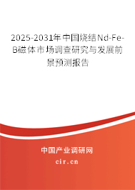 2025-2031年中國燒結Nd-Fe-B磁體市場調查研究與發(fā)展前景預測報告