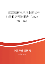 中國(guó)深循環(huán)電池行業(yè)現(xiàn)狀與前景趨勢(shì)預(yù)測(cè)報(bào)告（2025-2031年）