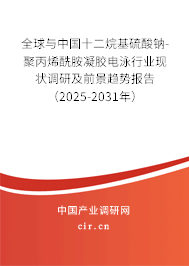 全球與中國十二烷基硫酸鈉-聚丙烯酰胺凝膠電泳行業(yè)現(xiàn)狀調(diào)研及前景趨勢(shì)報(bào)告（2025-2031年）
