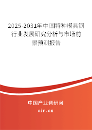 2025-2031年中國特種模具鋼行業(yè)發(fā)展研究分析與市場前景預(yù)測報告