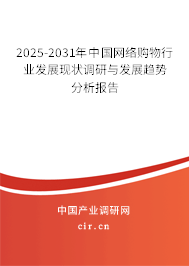 2025-2031年中國網絡購物行業(yè)發(fā)展現狀調研與發(fā)展趨勢分析報告