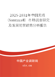 2025-2031年中國無線（femtocell）市場調(diào)查研究及發(fā)展前景趨勢分析報告