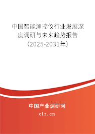 中國智能測控儀行業(yè)發(fā)展深度調(diào)研與未來趨勢報告（2025-2031年）