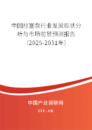 中國柱塞泵行業(yè)發(fā)展現(xiàn)狀分析與市場前景預測報告（2025-2031年）