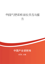 中國氣肥煤項(xiàng)目投資咨詢報告
