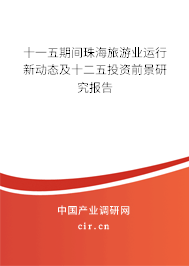 十一五期間珠海旅游業(yè)運行新動態(tài)及十二五投資前景研究報告