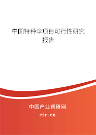 中國特種傘項目可行性研究報告