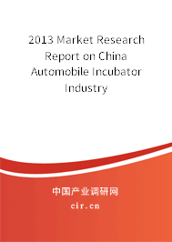 2013 Market Research Report on China Automobile Incubator  Industry