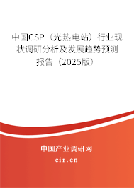 中國(guó)CSP（光熱電站）行業(yè)現(xiàn)狀調(diào)研分析及發(fā)展趨勢(shì)預(yù)測(cè)報(bào)告（2025版）
