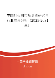 中國打火機市場調(diào)查研究與行業(yè)前景分析（2025-2031年）