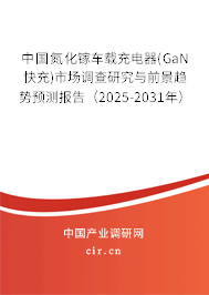 中國氮化鎵車載充電器(GaN快充)市場調(diào)查研究與前景趨勢(shì)預(yù)測(cè)報(bào)告（2025-2031年）