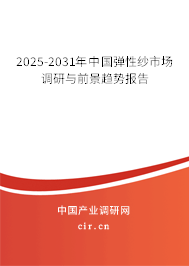 2025-2031年中國彈性紗市場調研與前景趨勢報告