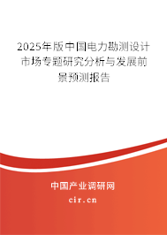 2025年版中國電力勘測設(shè)計(jì)市場專題研究分析與發(fā)展前景預(yù)測報告
