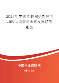2025年中國(guó)電信服務(wù)外包市場(chǎng)現(xiàn)狀調(diào)查與未來發(fā)展趨勢(shì)報(bào)告